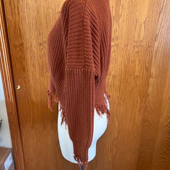 Distressed V Neck (Rust) Frayed Hem Crop Sweater (Distressed) / Size: One-Size - Picture 3 of 8